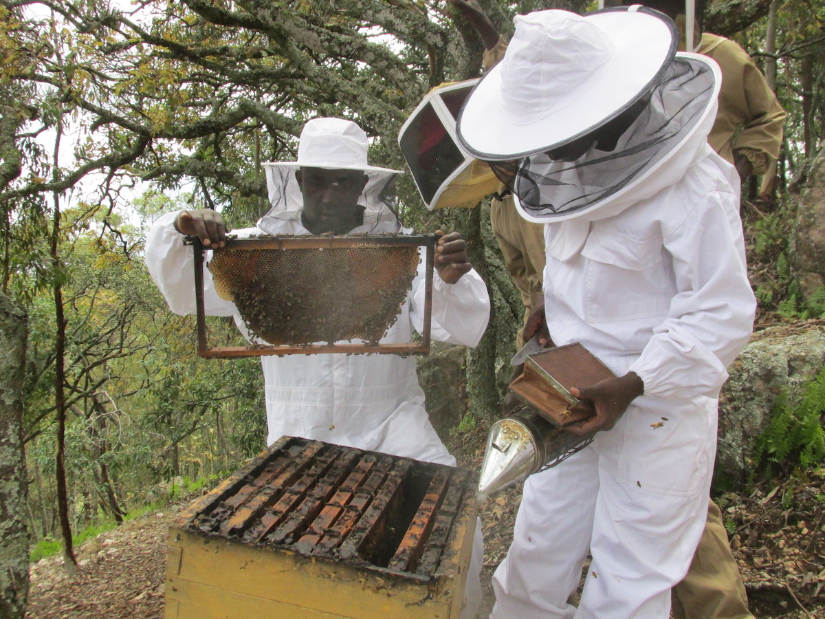 ‘Elke verkochte pot honing of bijenwas levert een bijdrage in de strijd tegen klimaatverandering’